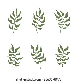 Set of abstract wavy plant or grass brunches curved leaves collection for wall decor, poster design. Decorative wavy organic shapes. Botanical elements for refreshing complement vector illustration