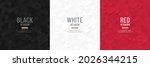 Set of abstract White, gray, black and red hexagon seamless pattern background. Minimal geometric shape collection design. Can use for cover template, poster, flyer, print ad. Vector illustration