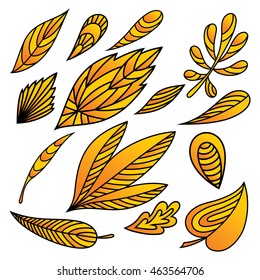 set of abstract yellow autumn leaves.vector illustration