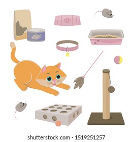 Set of accessories for cats. Pet products: feed, toys, cat collar, mice, bowl, box, toilet bowl. Cartoon style Isolated illustration on a white background