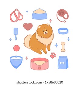 Set of accessories for dogs. Vector illustration of Pomeranian for websites, applications, prints.