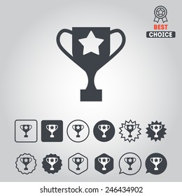 Set of achievement icons for web design, sites, info-graphic, applications, stickers and games
