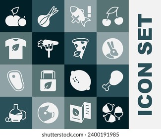 Set Acorn, Chicken leg, Rabbit, No fish, Carrot, Vegan shirt, Apple and pizza slice icon. Vector
