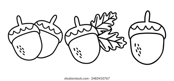 A set of Acorn icons. Cartoon Acorn