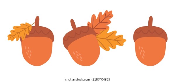 A set of Acorn icons. Cartoon Acorn Vector Icon Set for Web Design