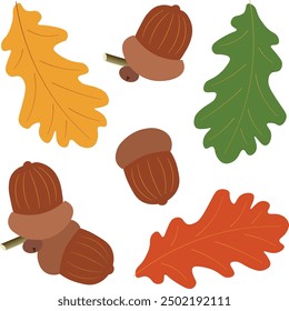 Set of acorn and leaves isolated on a white background. Good for design, logo, sticker