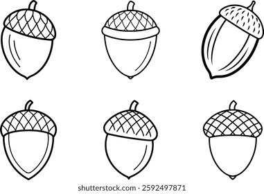 Set of Acorn Outline Illustrations – Hand-Drawn Black Vector Nuts