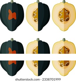 Set of Acorn squash or Honey bear squash. Tuffy squash. Winter squash. Cucurbita pepo. Fruits and vegetables. Flat style. Isolated vector illustration.