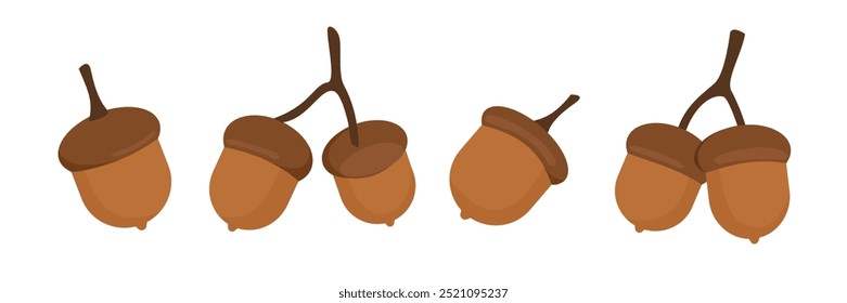 Set of acorn vector art. Acorn clip art. Brown acorn. Nuts. Squirrel food. Autumn plant. Chestnut illustration.