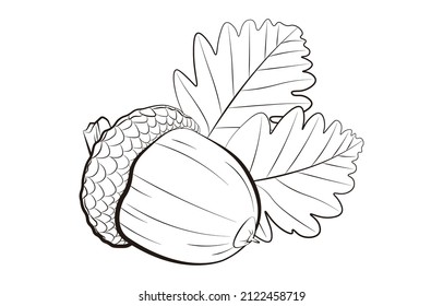 un conjunto de ilustraciones vectoriales de Acorn