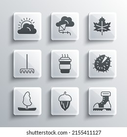 Set Acorn, Waterproof rubber boot, Chestnut, Coffee cup to go, Tree, Garden rake, Sun and cloud weather and Leaf leaves icon. Vector