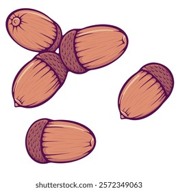 Set of acorns. Collection oak tree nut with a cap close-up. Brown autumn design element. Simple vector color illustration in hand drawn style isolated on white.