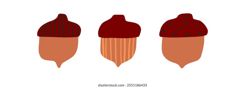 Set of acorns drawn in flat style. Forest, nature. Hand drawn vector illustration.