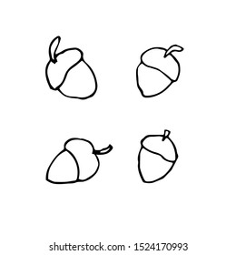 Set of acorns. Hand drawing sketch. Black outline on white background. Picture can be used in advertisement, posters, flyers, banners, logo, further design etc. Vector illustration. EPS10