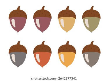Set of acorns on a white background. Autumn acorns