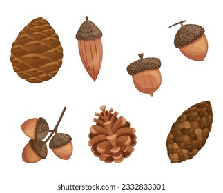 Set Of Acorns And Pine Cones, Natural Charming Collection, Showcasing The Beauty Of Nature. Perfect For Decorating, Crafting, Or Adding A Touch Of Woodland Charm . Cartoon Vector Illustration