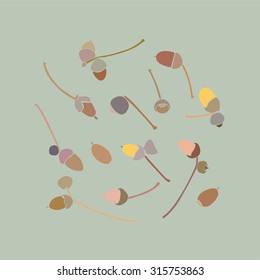 Set of acorns. Vector.