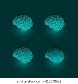 Set of Active Human Brains on Dark Background
