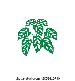 set Diseño de la plantilla del icono del vector del logotipo monstera de Adanson