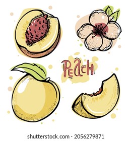 Conjunto de adorables melocotones de dibujos animados de estilo plano. Ilustración del vector aislada en fondo blanco
