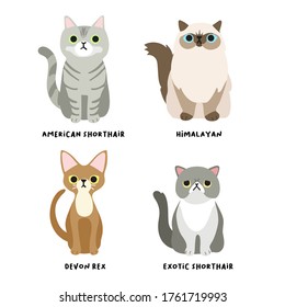 Set von bezaubernden Katzenrassen im flachen Stil: Vektorgrafik
