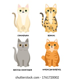 Set of adorable cat breeds in flat style : Vector Illustration