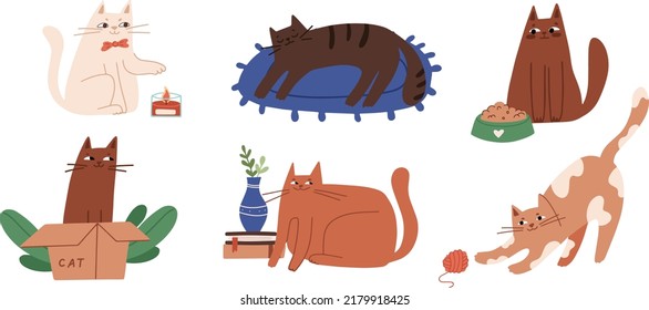 Set of adorable cats sleeping, stretching, playing with a ball of yarn, hiding in a box. Collection of domestic animals isolated on white background. Flat cartoon vector illustration.