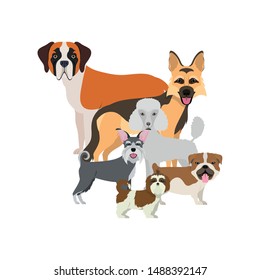 set of adorable dogs on white background