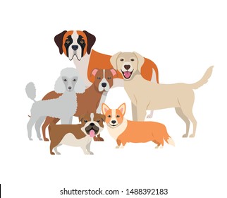 set of adorable dogs on white background