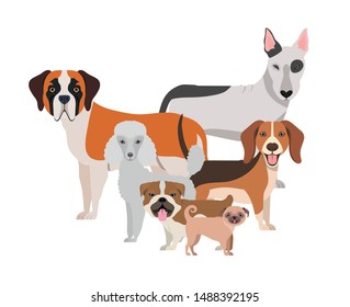 set of adorable dogs on white background