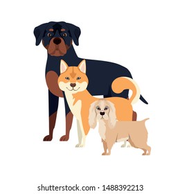 set of adorable dogs on white background