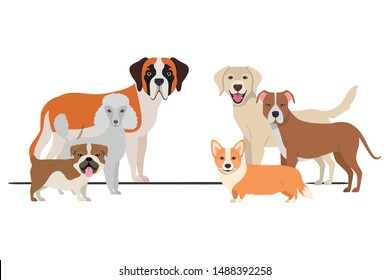 set of adorable dogs on white background