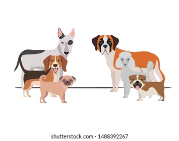 set of adorable dogs on white background