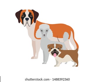 set of adorable dogs on white background