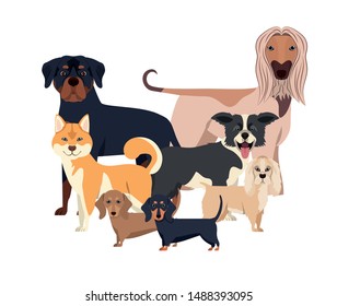 set of adorable dogs on white background