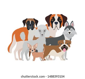 set of adorable dogs on white background