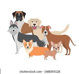 set of adorable dogs on white background