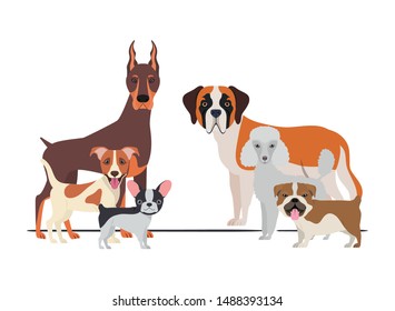 set of adorable dogs on white background