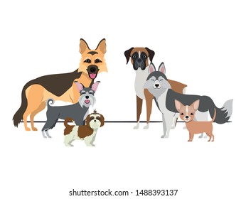 set of adorable dogs on white background