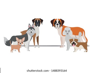 set of adorable dogs on white background