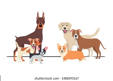 set of adorable dogs on white background