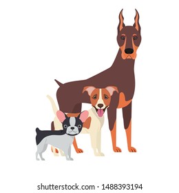 set of adorable dogs on white background