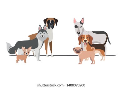 set of adorable dogs on white background