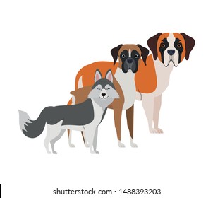 set of adorable dogs on white background