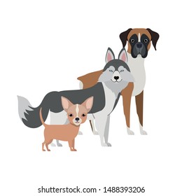 set of adorable dogs on white background