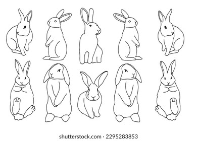 Set of adorable hand drawn rabbit  white isolated on white background. 