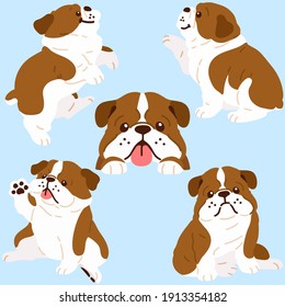 Set of adorable illustrations of dark brown British Bulldog flat colored