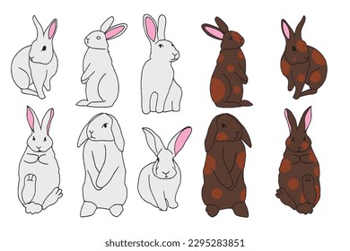 Set of adorable rabbit all activities vector illustration