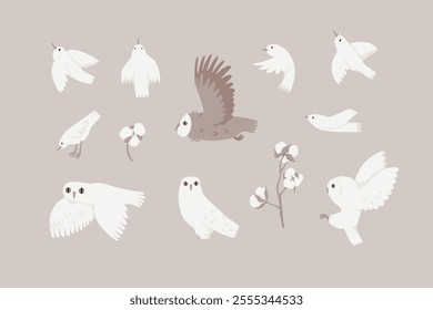 Set with adorable white forest birds and polar owls, snowy owls. Hand drawn nocturnal birds of prey. Isolated clipart, vector illustrations