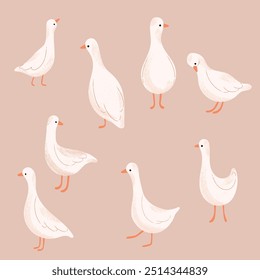 Set of adorable white geese illustration. Vector hand drawn domestic animals.